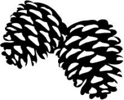 5203E - large pine cones stamp- maybe for homemade christmas ...