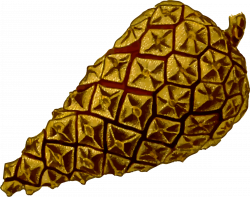 Clipart - Pine cone 2 (detailed)