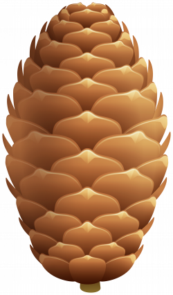 Pinecone Clip Art Image | Gallery Yopriceville - High ...