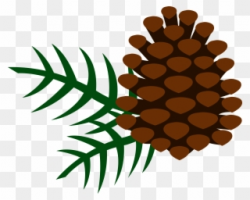 Free PNG Pine Cone Clip Art Download - PinClipart