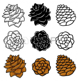 72+ Pinecone Clipart | ClipartLook
