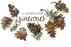Watercolor Pinecone Clip Art for Scrapbooking Holiday Season ...