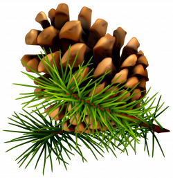 9 Great Pine Cone Table Decorations