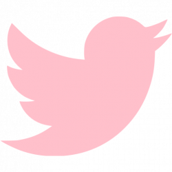 Pink twitter icon - Free pink social icons