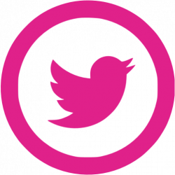 Barbie pink twitter 5 icon - Free barbie pink social icons