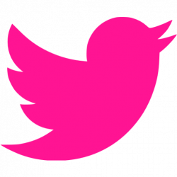 Deep pink twitter icon - Free deep pink social icons