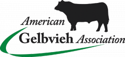 A Steak in Genomics™: American Gelbvieh Association Releases Genomic ...