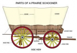The parts of a prairie schooner | Traveling on the Oregon ...