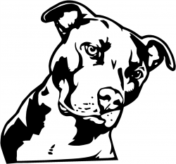 Best Of Pitbull Clipart Gallery - Digital Clipart Collection