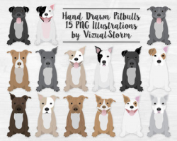 Pitbull Clipart Bundle - 15 Hand Drawn American Pit Bull Terrier Dogs