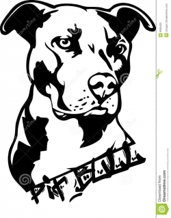 29+ Pit Bull Clipart | ClipartLook