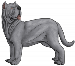 neapolitan mastiff drawing - Google Search | illustrated character ...