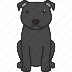 Staffordshire Bull Terrier | Special Edition | Dog Breed Cartoon ...