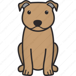 Staffordshire Bull Terrier | Brown Edition | Dog Breed Cartoon ...