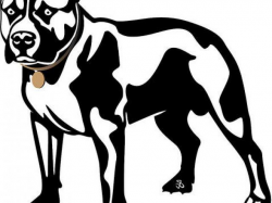 Free Pitbull Clipart, Download Free Clip Art on Owips.com