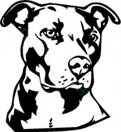 Details about Pit Bull face vinyl decal/sticker dog Pitt animal pet  american pitbull breed