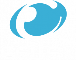 Test Plans examples – Welcome to Cellex Support