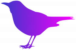 blackbird with color_bclipart - BClipart