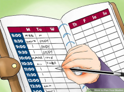 How to Plan Your Studies: 11 Steps (with Pictures) - wikiHow