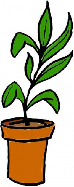 Parts Of A Plant Clipart | Clipart Panda - Free Clipart Images