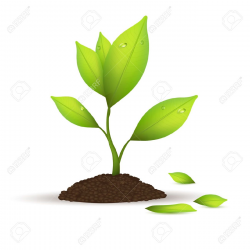 Plant Care Clipart