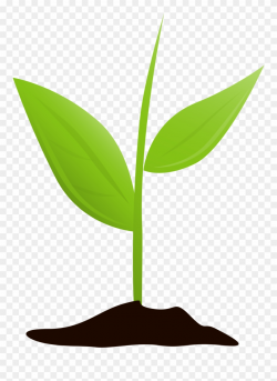Get Started And Grow - Plant Growing Transparent Clipart ...