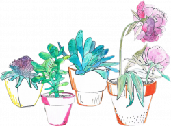 art watercolor plants cactus succulent flower aesthetic...