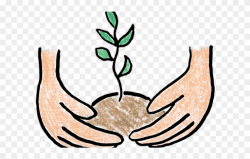 Pot Plant Clipart Baby - Tree Planting Clip Art - Png ...