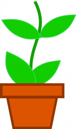 Free A Plant Cliparts, Download Free Clip Art, Free Clip Art ...
