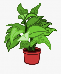 Planting Clipart Herb - Potted Plant Clipart Transparent ...