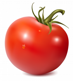 Tomato clipart transparent background ~ Frames ~ Illustrations ~ HD ...