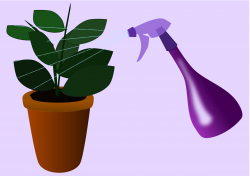 Clipart - Caring for Houseplants