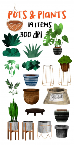 Modern Indoor Plants- Pots & Plants Clipart on Behance