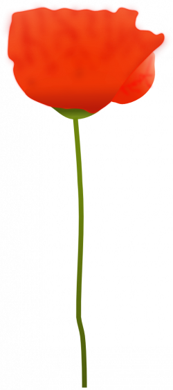 Poppy Flower Clipart | i2Clipart - Royalty Free Public Domain Clipart