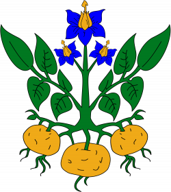 File:Heraldic Potato plant,2.svg - Wikimedia Commons
