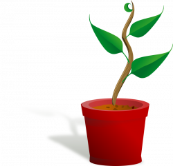 Clipart - plant growing