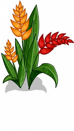 Rainforest Flowers Clipart at GetDrawings.com | Free for personal ...