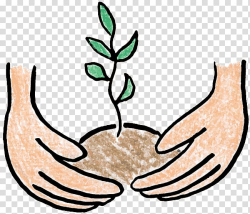 Tree planting , plant transparent background PNG clipart ...