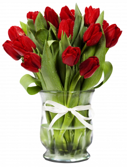 Transparent Vase with Red Tulips | Gallery Yopriceville - High ...