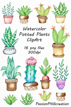 Watercolor potted plants clipart, potted plants, cactus ...