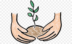 Tree planting Clip art - Free Pictures Of Plants png download - 650 ...