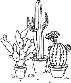 sticker tumblr aesthetic png cactus plant blackandwhite...
