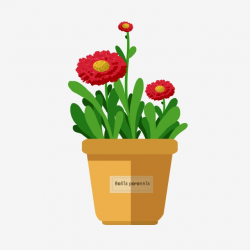 Red Flowers Planted Potted Plants Yellow Flower Pot Hand ...