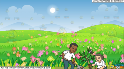 A Black Male Volunteer Planting Small Tree and A Beautiful Field Of Wild  Flowers Background