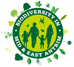 Biodiversity Summer School in Mid and East Antrim — Biodiversity ...