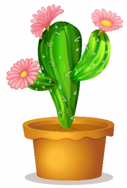 Cactaceae Succulent plant Clip art - Cartoon cactus material 673 ...