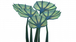 Image - Pygmy Fan Flora.png | Subnautica Wiki | FANDOM powered by Wikia