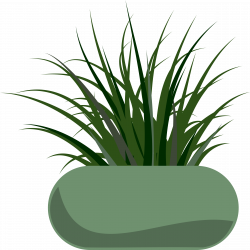 Potted Grass by @stevepetmonkey, Grass planted in a modern planter ...