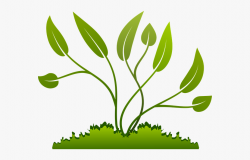 Grow Png File - Plants Clipart Png #791020 - Free Cliparts ...