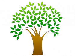 Plant a tree! Do you have a spot anywhere on your property for a ...